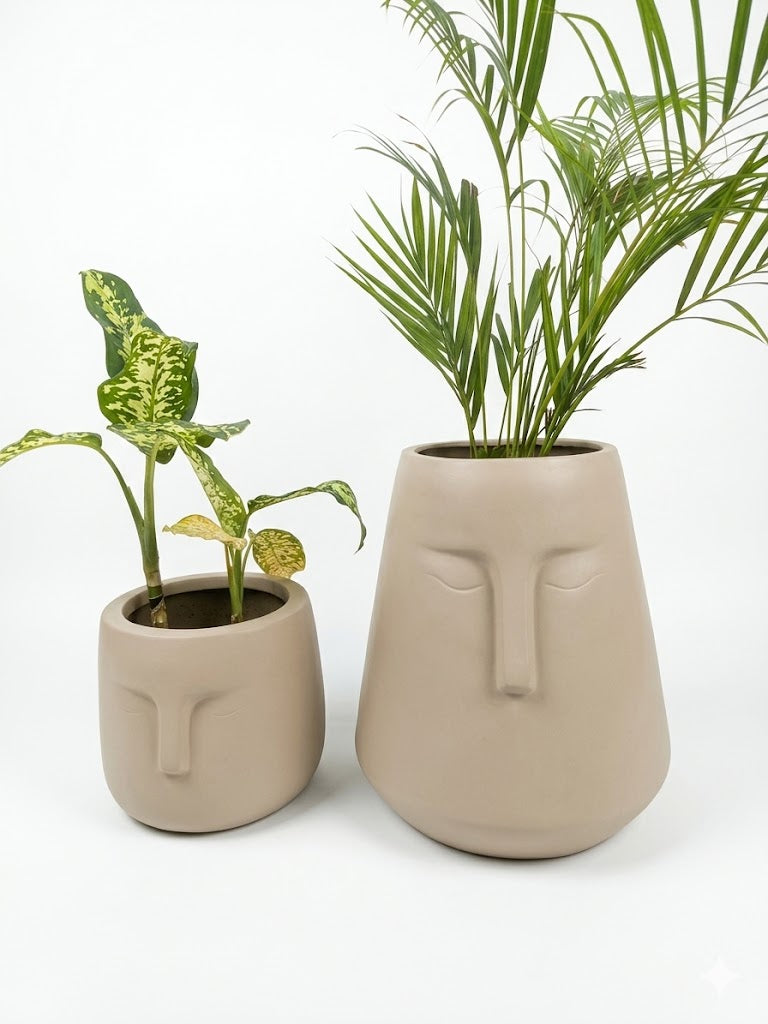 Budhha Planter