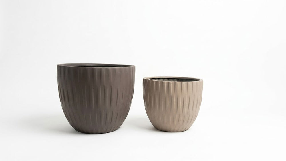 Crizzo Planter