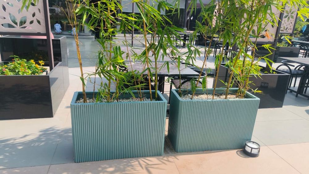 Flutted Planter