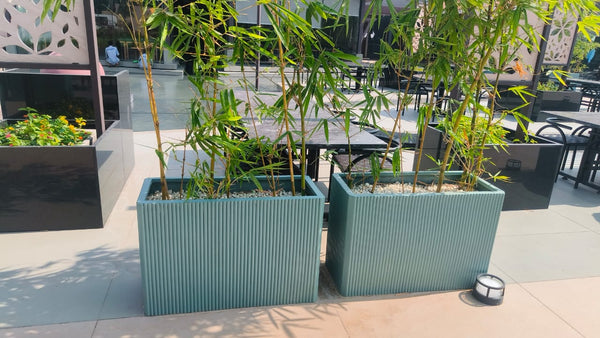 Flutted Planter