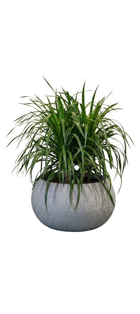 Round Stone Planter